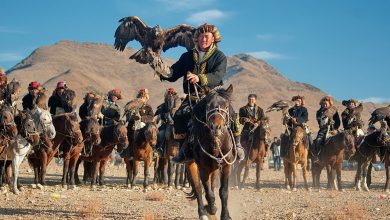 Photo of Охотничьи традиции и обычаи