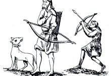 Photo of Охота с птичьими собаками