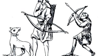 Photo of Охота с птичьими собаками