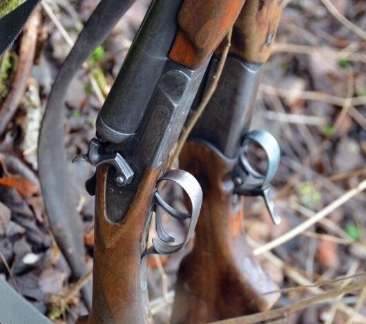 Photo of Охотничье оружие: традиции и новации