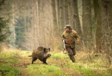 Photo of Как вести себя в обществе охотников