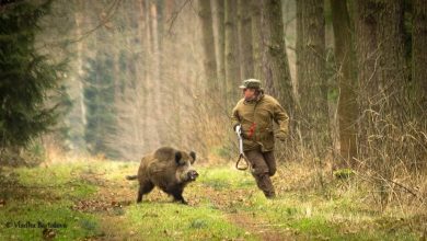 Photo of Как вести себя в обществе охотников
