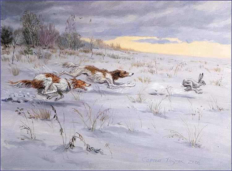 Photo of Техника охоты с гончими