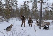 Photo of Охотники как стражи экосистемы