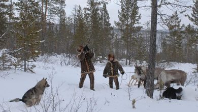 Photo of Охотники как стражи экосистемы