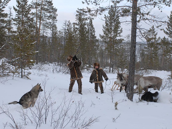 Photo of Охотники как стражи экосистемы