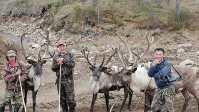 Photo of Охотники и экологическое равновесие