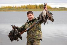 Photo of Как уважать дичь во время охоты