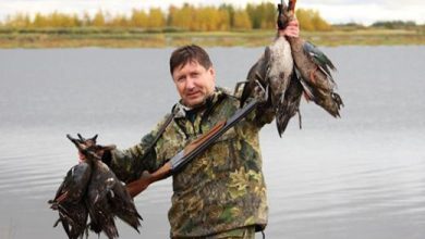 Photo of Как уважать дичь во время охоты