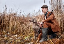 Photo of Охотничьи собаки: их роль и задачи