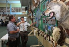 Photo of Традиции охоты в разных странах