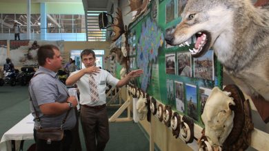 Photo of Традиции охоты в разных странах