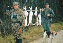 Photo of Секреты успешной охоты с применением современного снаряжения