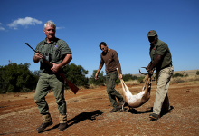 Photo of Охотники и защита дикой природы