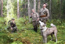 Photo of Охотничьи собаки: секреты успешной охоты