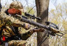 Photo of Этика обращения с оружием на охоте