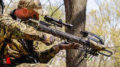 Photo of Этика обращения с оружием на охоте